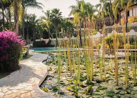 Jardin de la abundancia Hotel Tepoztlan Bagian luar foto